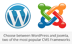 Choose Between Wordpress and Joomla, two of the most popular CMS Frameworks.